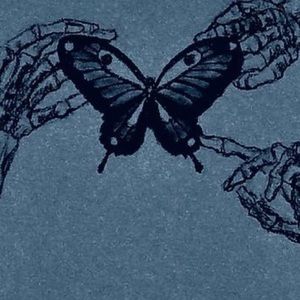 Meet your Posher, Jocelyn